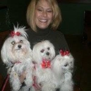 Meet your Posher, Christy